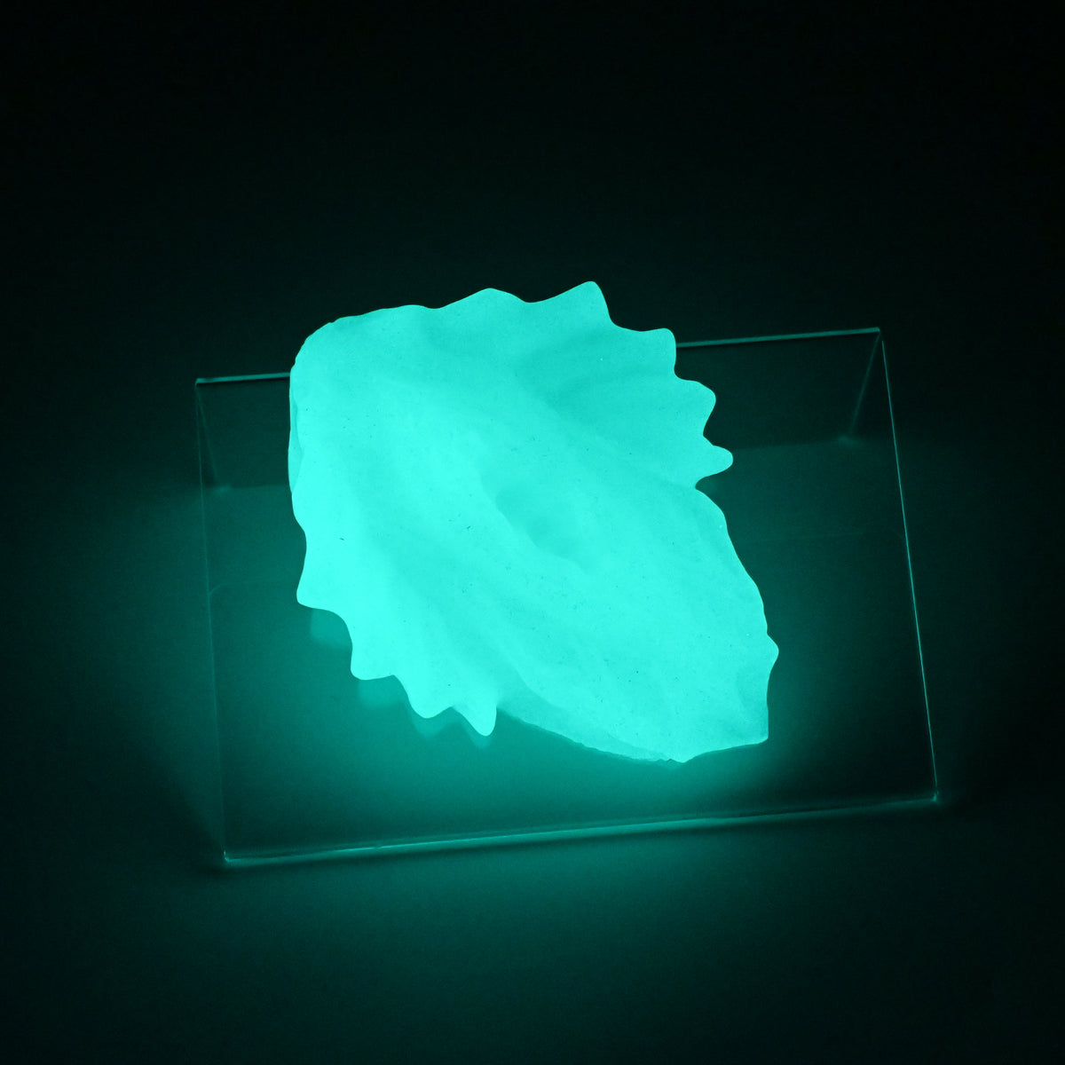 C2XKQ26 Calypso Small 0020 UV GITD