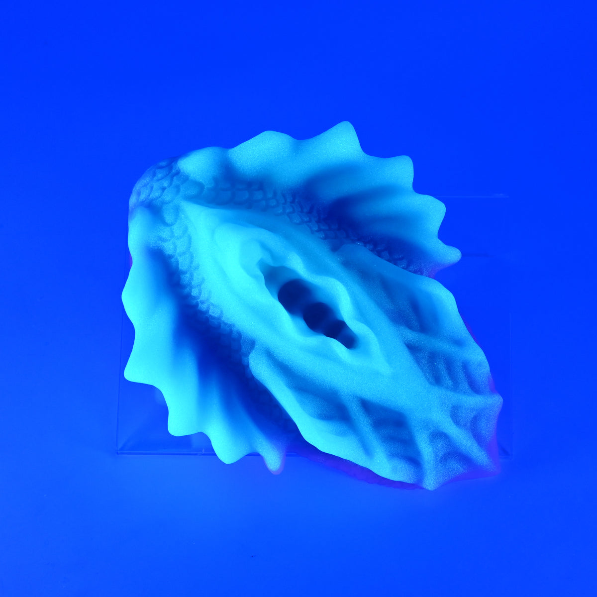 C4SKP10 Calypso Large 0030 UV GITD