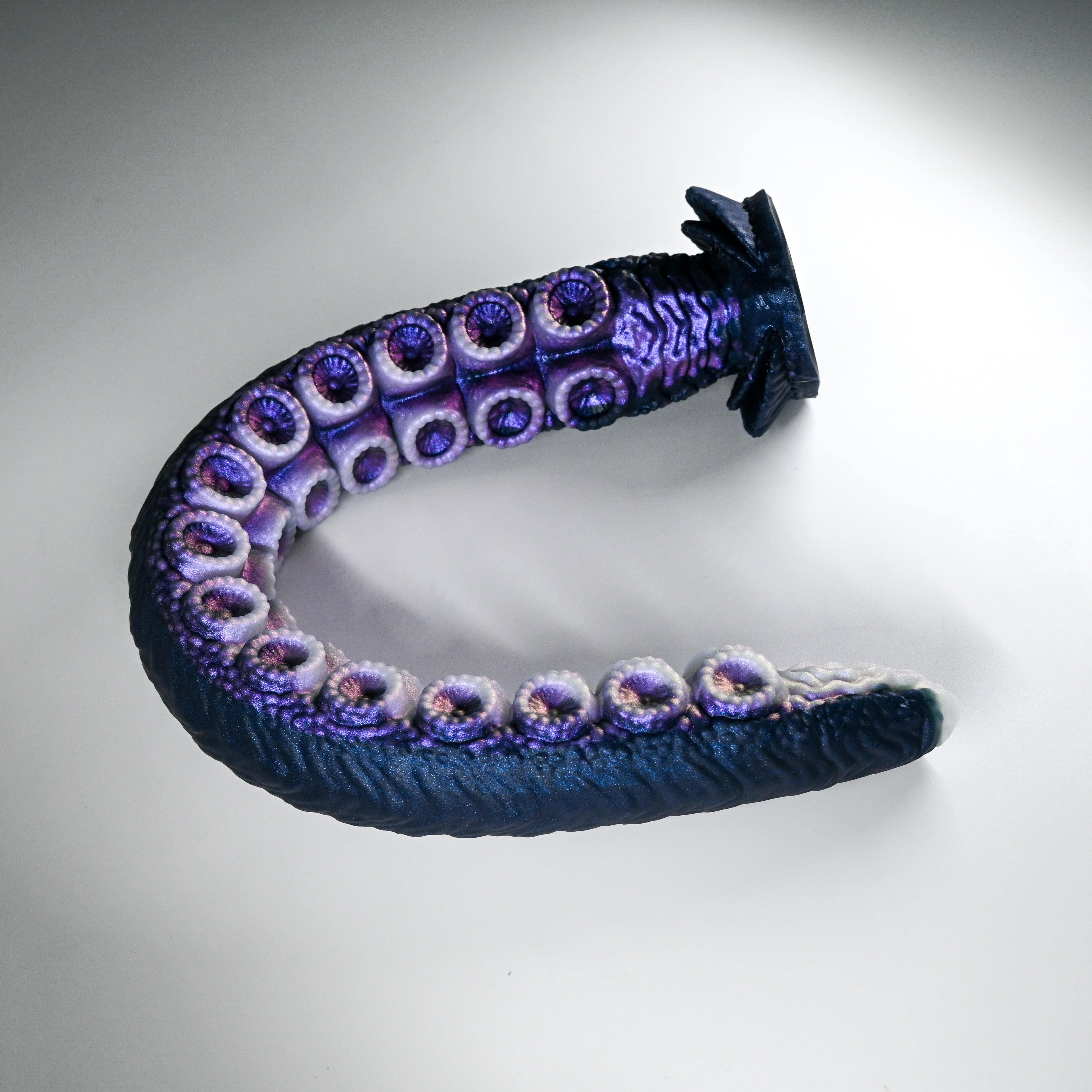 E4XHJ39 Illex Large 0020 CS
