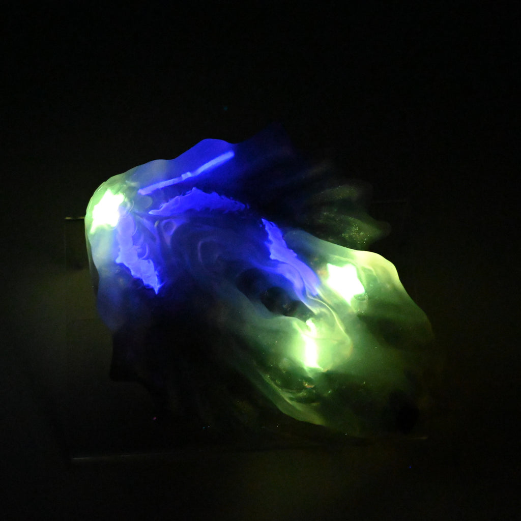 C4TKP12 Calypso Large NC 0031 UV GITD