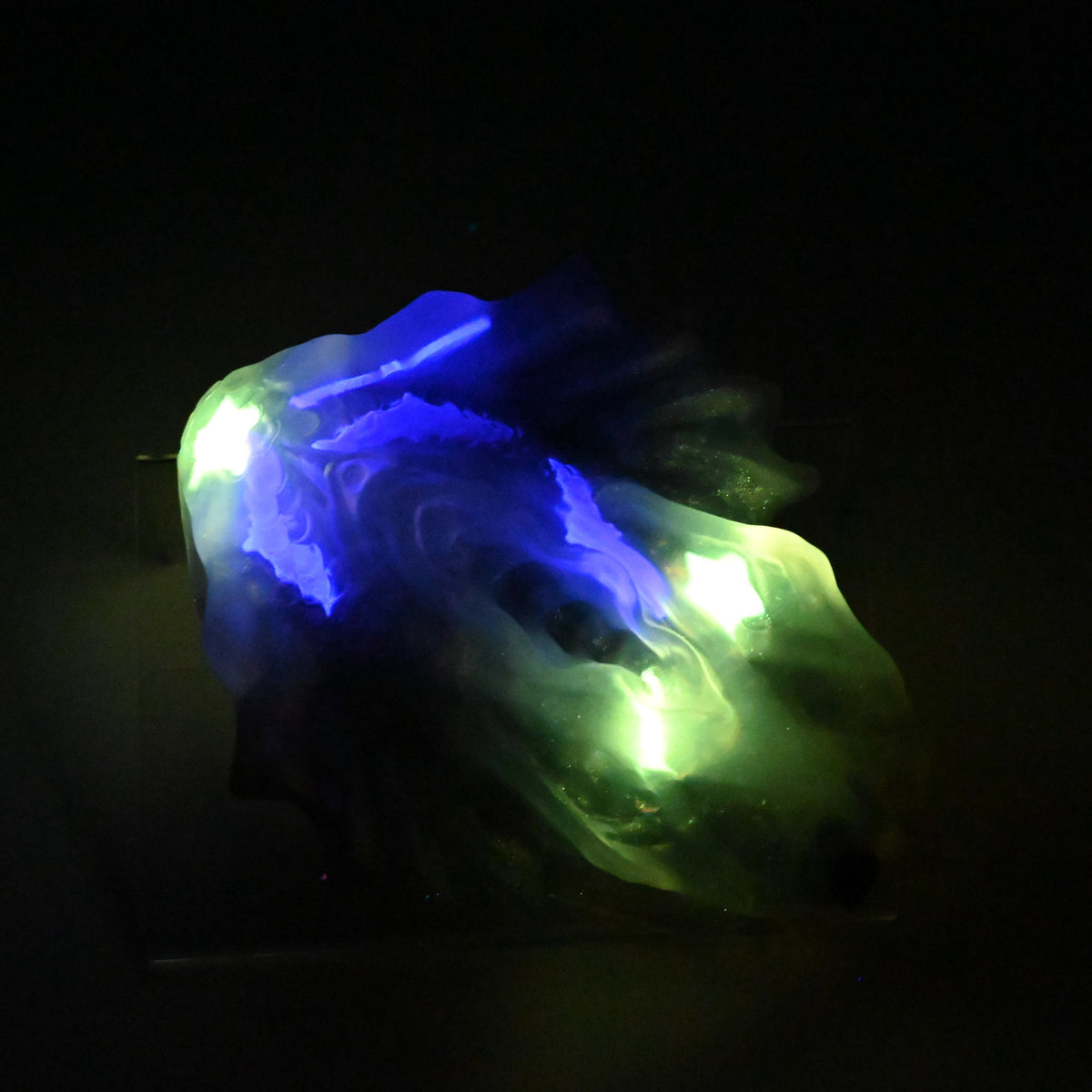 C4TKP12 Calypso Large NC 0031 UV GITD