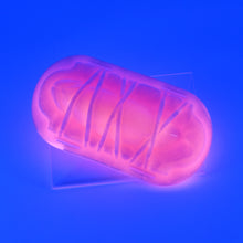 Load image into Gallery viewer, K2XHJ57 Kyno 0020 UV GITD
