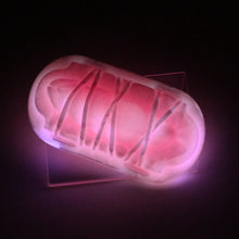 Load image into Gallery viewer, K2XHJ57 Kyno 0020 UV GITD
