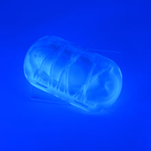 Load image into Gallery viewer, K2XHJ58 Kyno 0020 UV GITD
