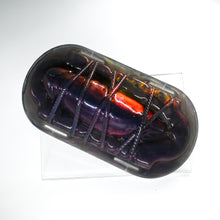 Load image into Gallery viewer, K2THJ63 Kyno NC 0031 CS
