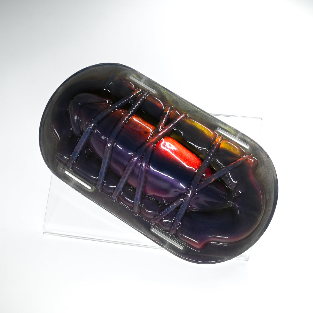 K2THJ64 Kyno NC 0031 CS