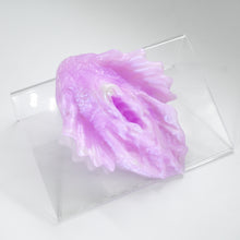 Load image into Gallery viewer, C2MHK49 Calypso Small 0050 UV CS
