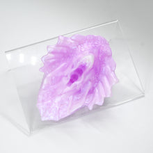 Load image into Gallery viewer, C2MHK49 Calypso Small 0050 UV CS
