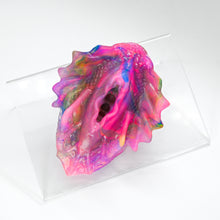 Load image into Gallery viewer, C2THK50 Calypso Small NC 0031 UV CS
