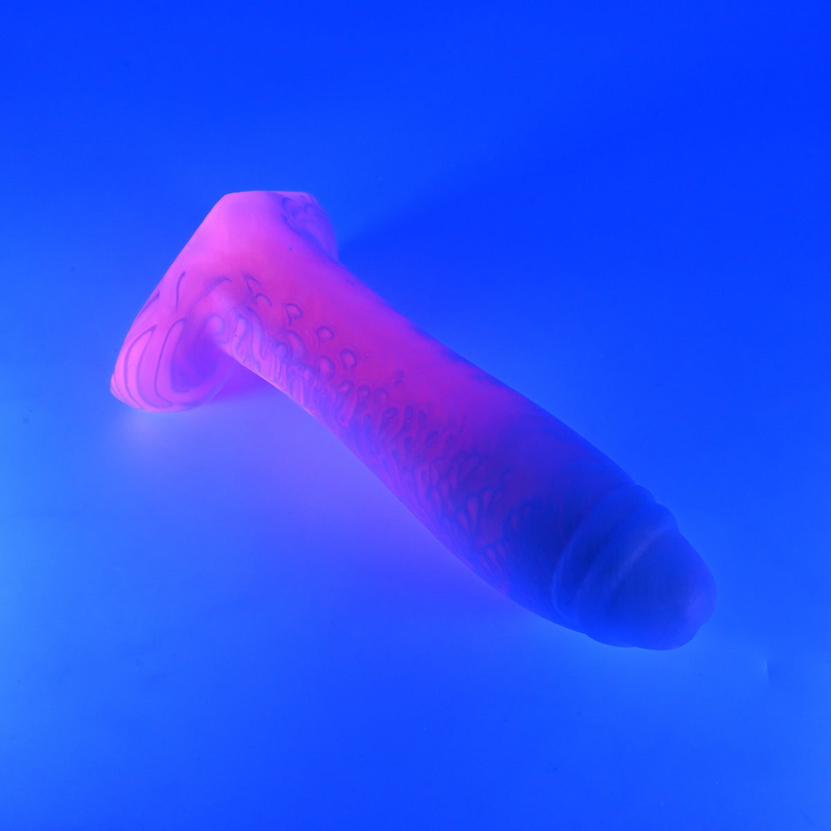 Q3MKP68 Aquus Medium 0050 UV CS