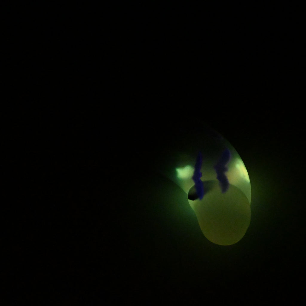 G3TKP19 Ignis Medium NC 0031 UV GITD CS
