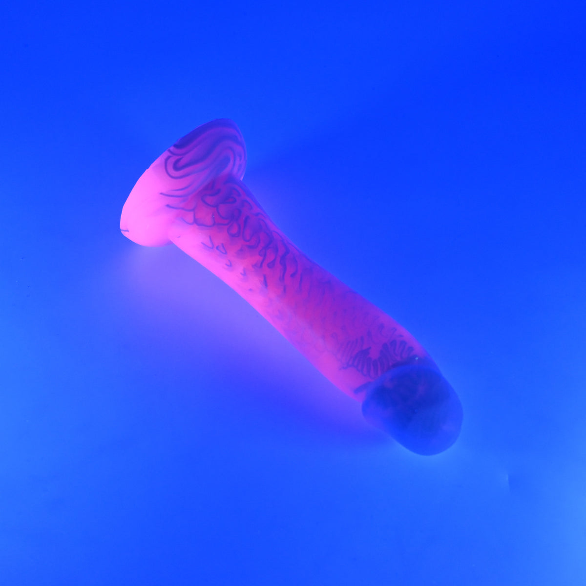 Z2MKQ15 Caelus Small 0050 UV CS
