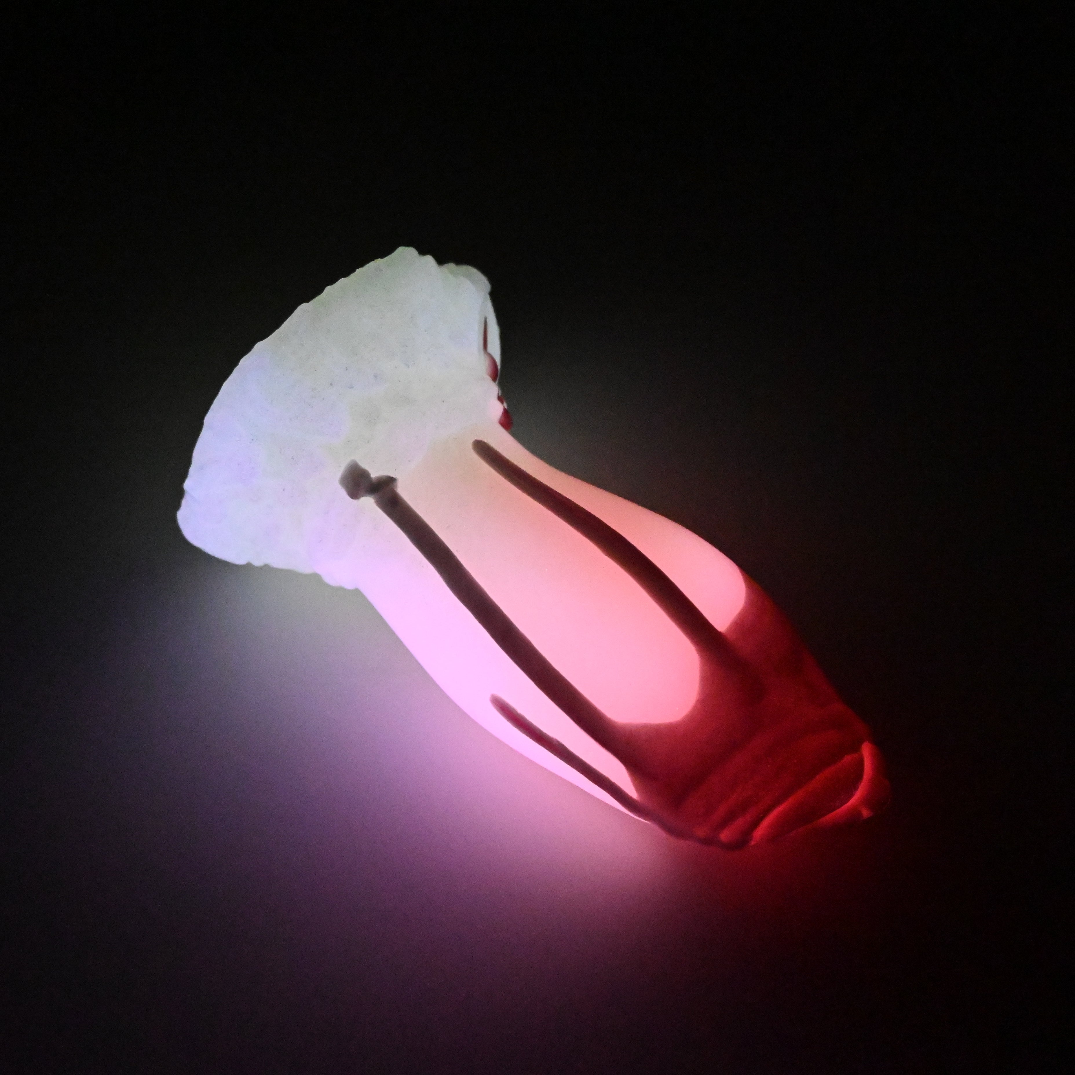 82SJM77 Hue Small 0030 UV GITD