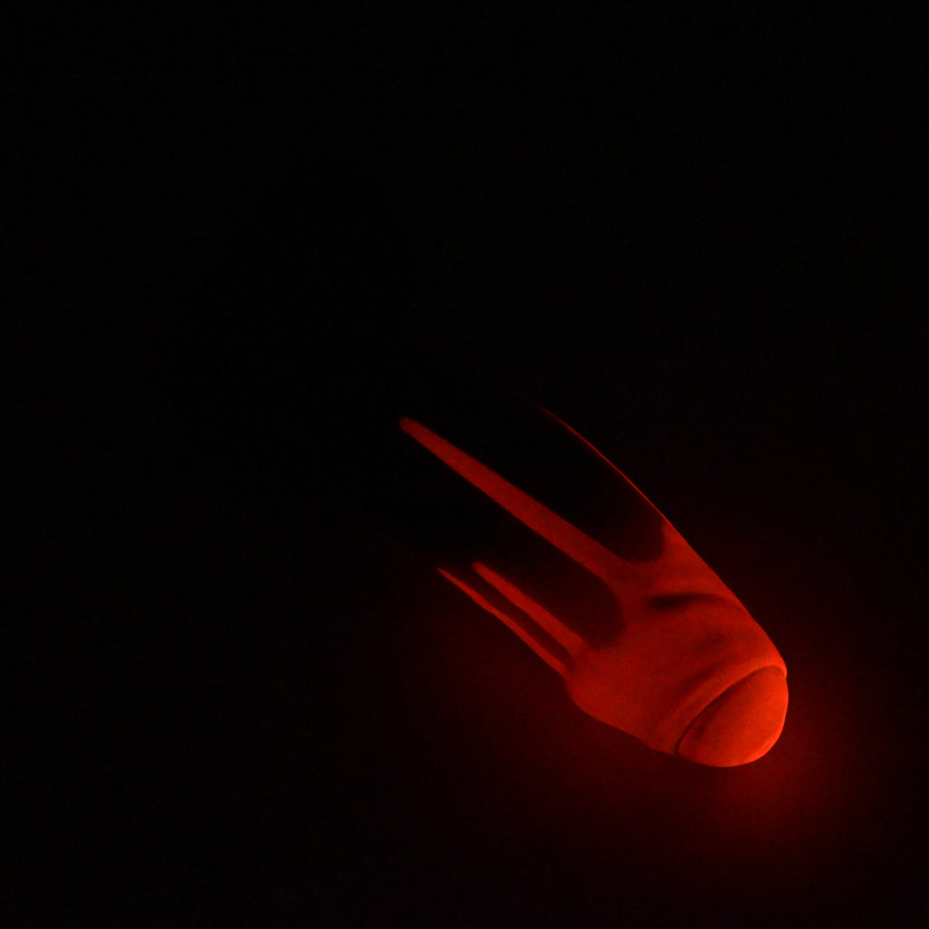 R4SKP81 Orion Large 0030 UV GITD CS