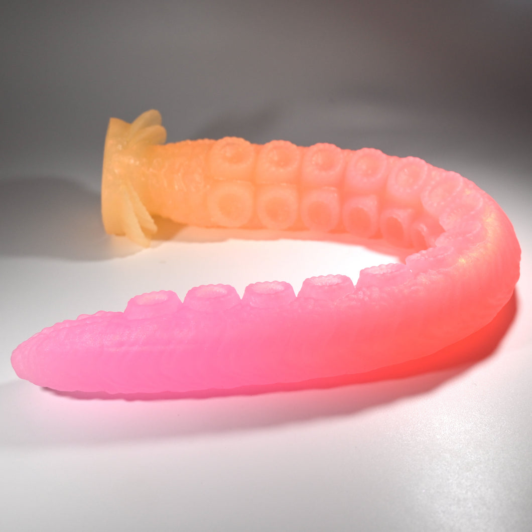 E4TGG77 Illex Large NC 0031 UV CS