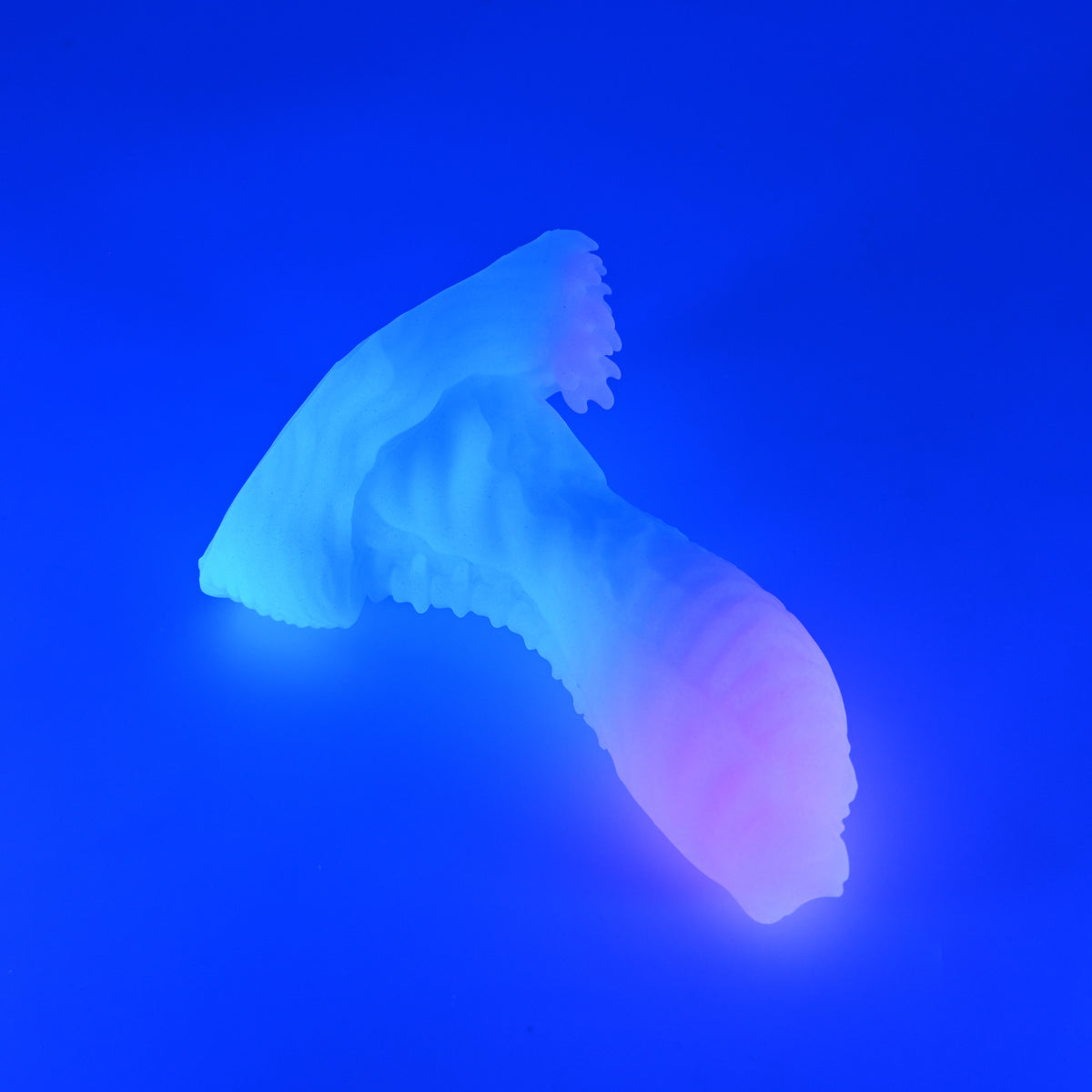 X2MJP05 Shin Small 0050 UV GITD