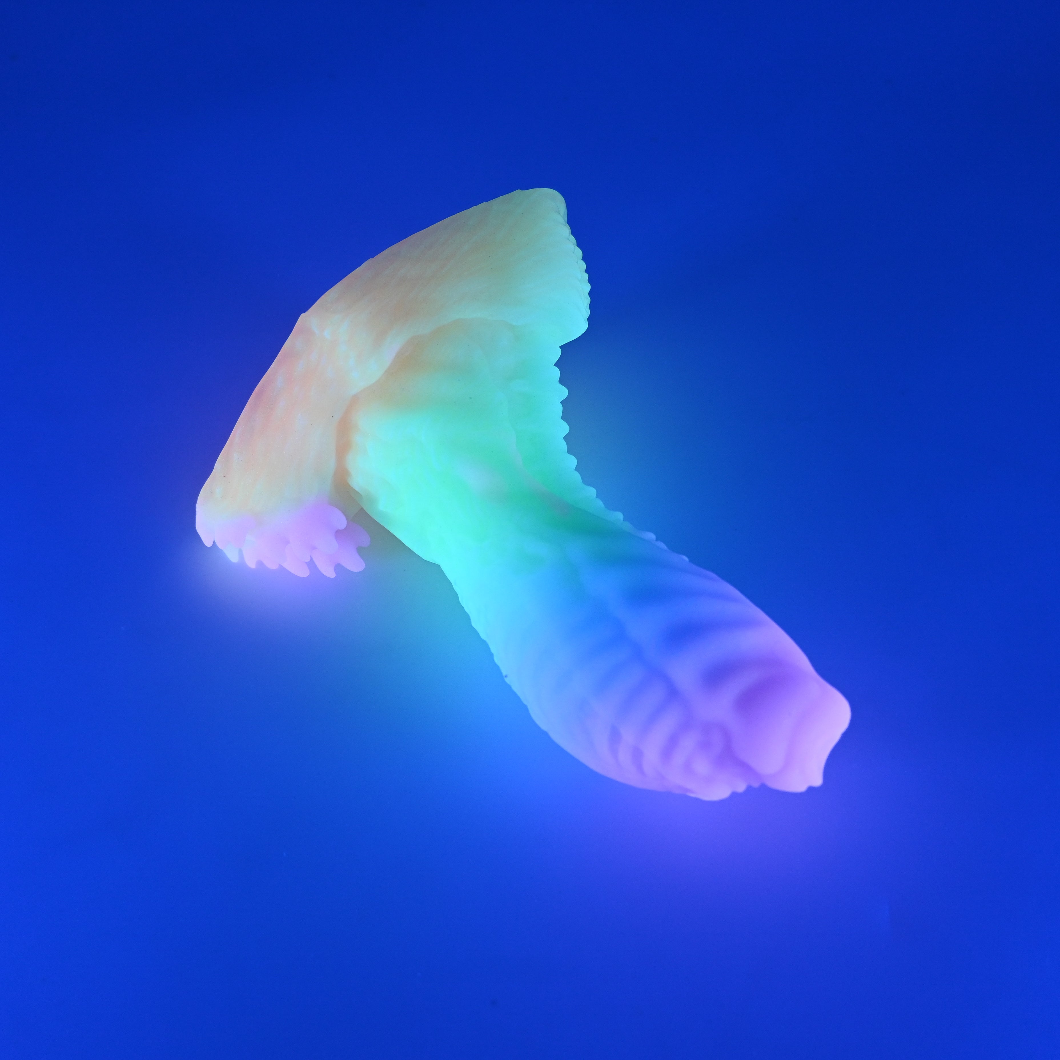X2MJP06 Shin Small 0050 UV GITD