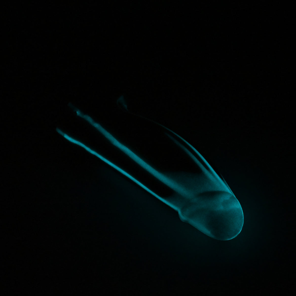 95SKN96 Kronos XL 0030 UV GITD