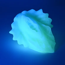 Load image into Gallery viewer, C2SGK46 Calypso Small 0030 UV GITD
