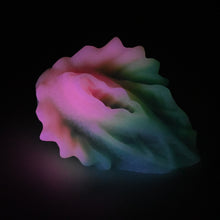 Load image into Gallery viewer, C2MGK47 Calypso Small 0050 UV GITD
