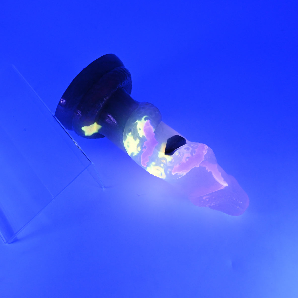 33TKN43 Celia Medium NC 0031 UV GITD CS