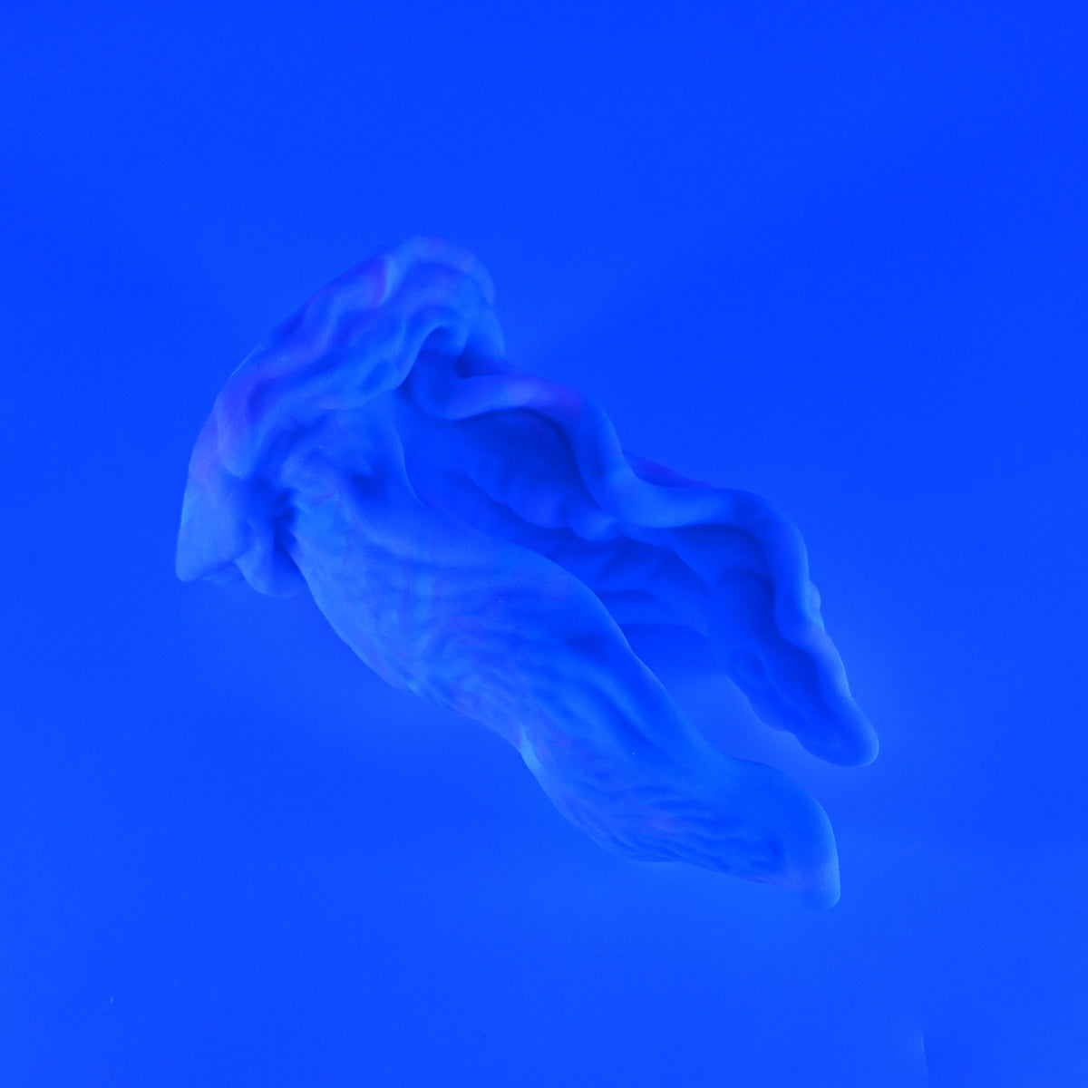 A2MJM82 Alara Small 0050 UV GITD