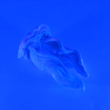 Load image into Gallery viewer, A2MJM82 Alara Small 0050 UV GITD

