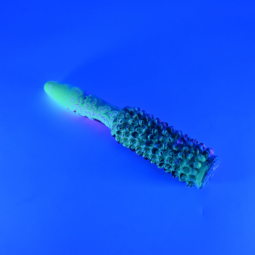 BSXJN20 Round Brush Smooth Handle 0020 UV