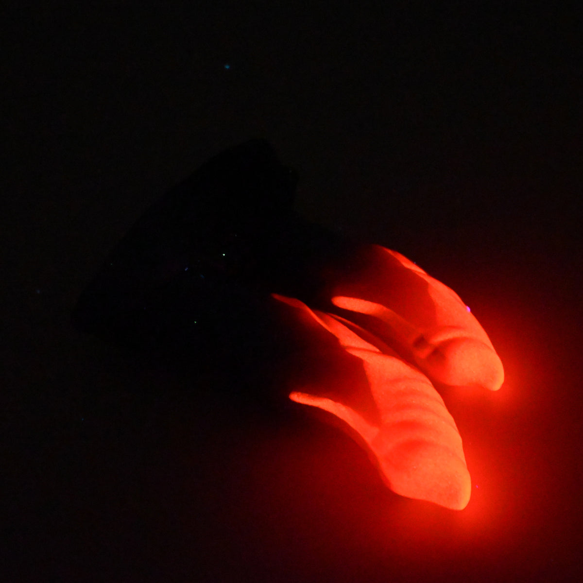 22SKN24 Vasuki Small 0030 UV GITD CS