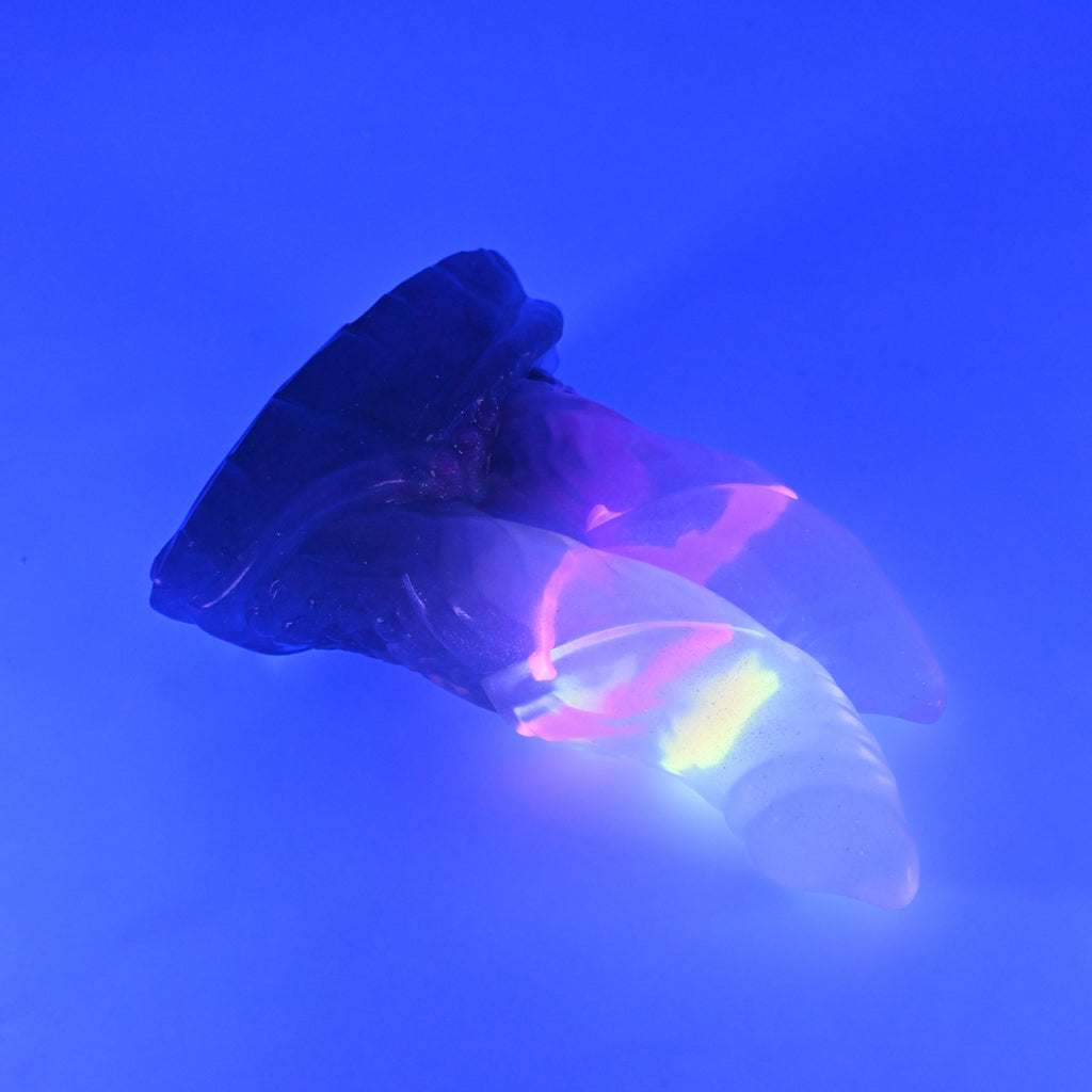 22TKN28 Vasuki Small NC 0031 UV GITD CS
