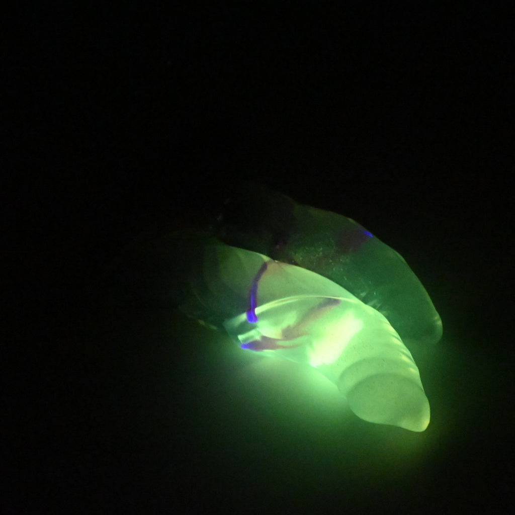 22TKN28 Vasuki Small NC 0031 UV GITD CS