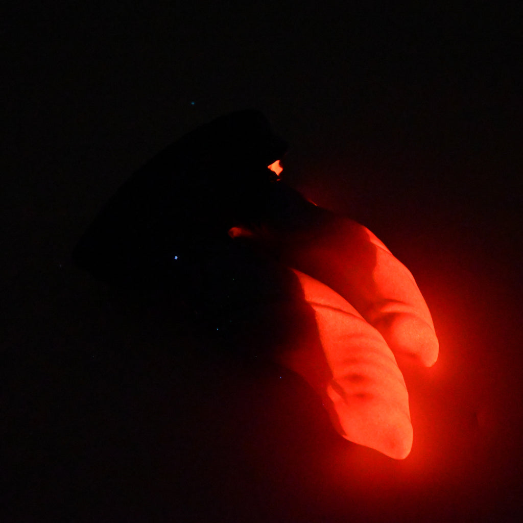 223SKN29 Vasuki Medium 0030 UV GITD CS