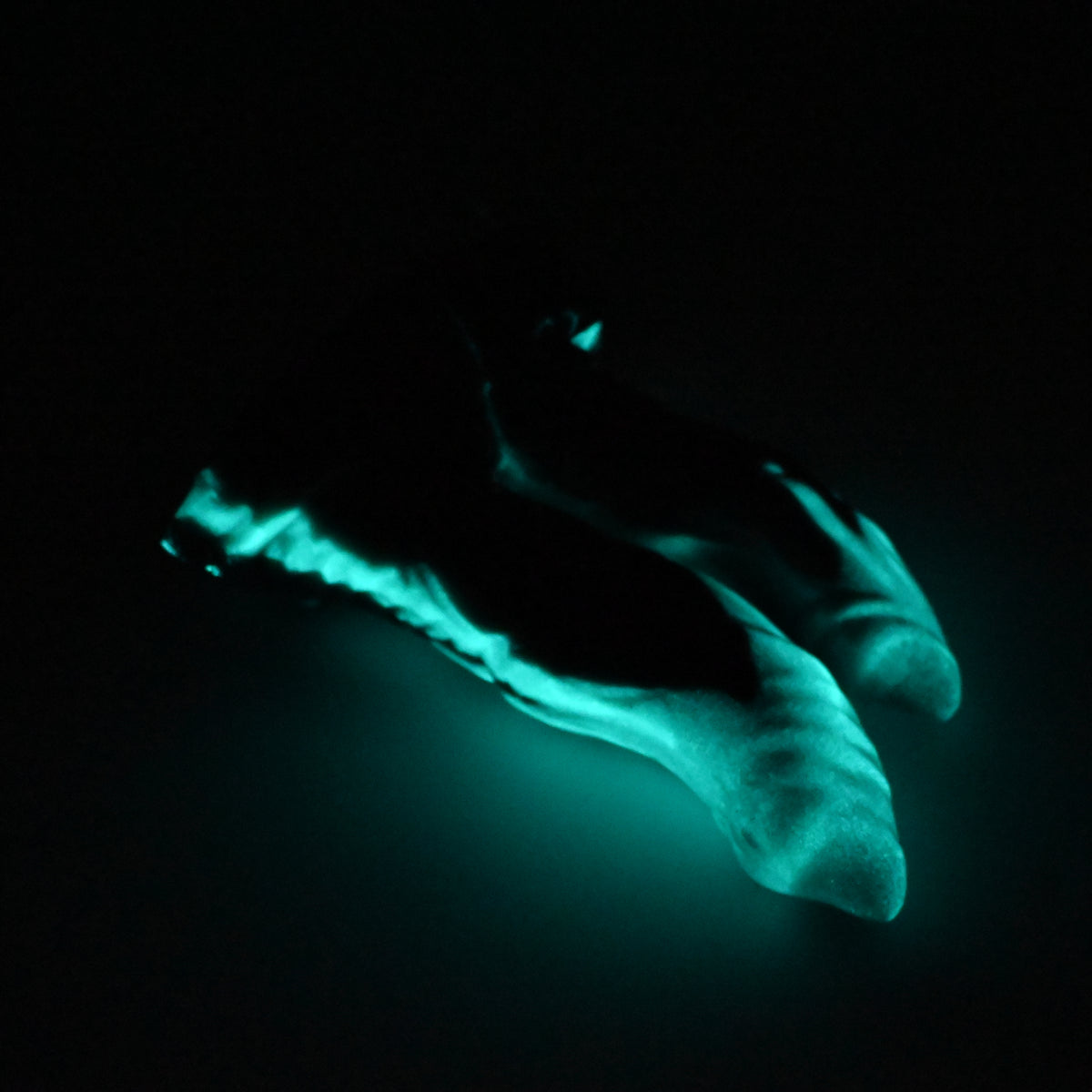 23SKN30 Vasuki Medium 0030 UV GITD