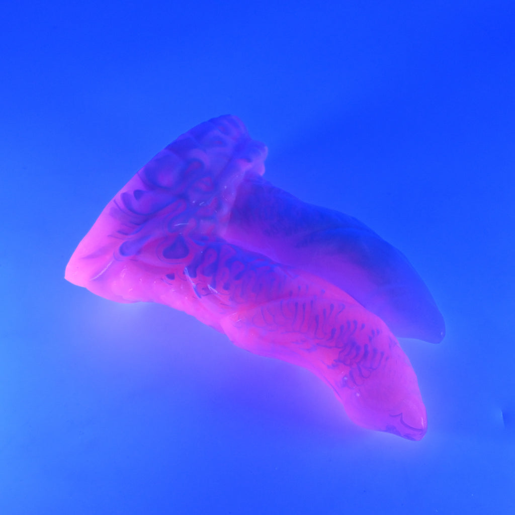 23MKN32 Vasuki Medium 0050 UV CS