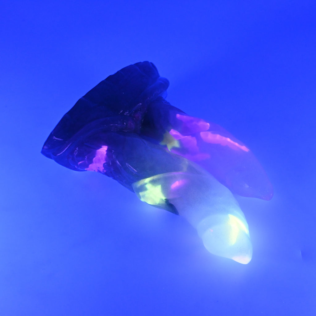 23TKN34 Vasuki Medium NC 0031 UV GITD CS