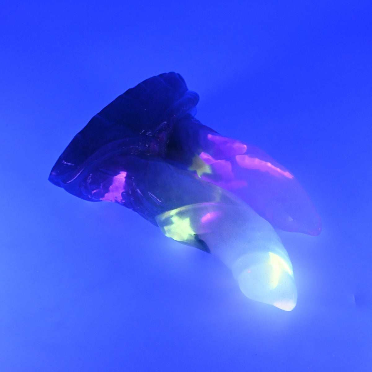 23TKN34 Vasuki Medium NC 0031 UV GITD CS
