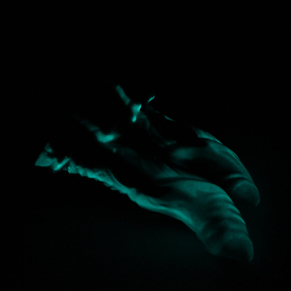 24SKN36 Vasuki Large 0030 UV GITD