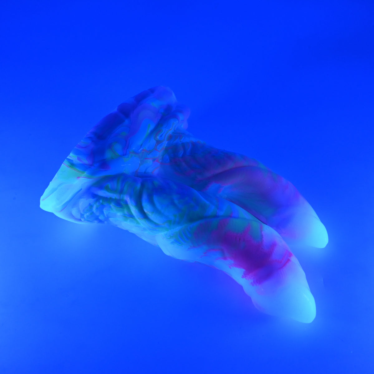 24SKN38 Vasuki Large 0030 UV