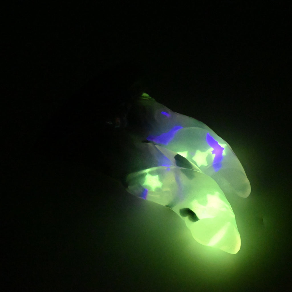 24TKN39 Vasuki Large NC 0031 UV GITD CS