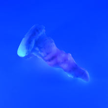 Load image into Gallery viewer, N2MHK98u Nereid Small 0050 UV GITD GHU
