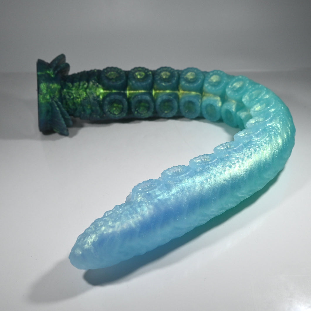 E4TFH39 Illex Large NC 0031 UV CS