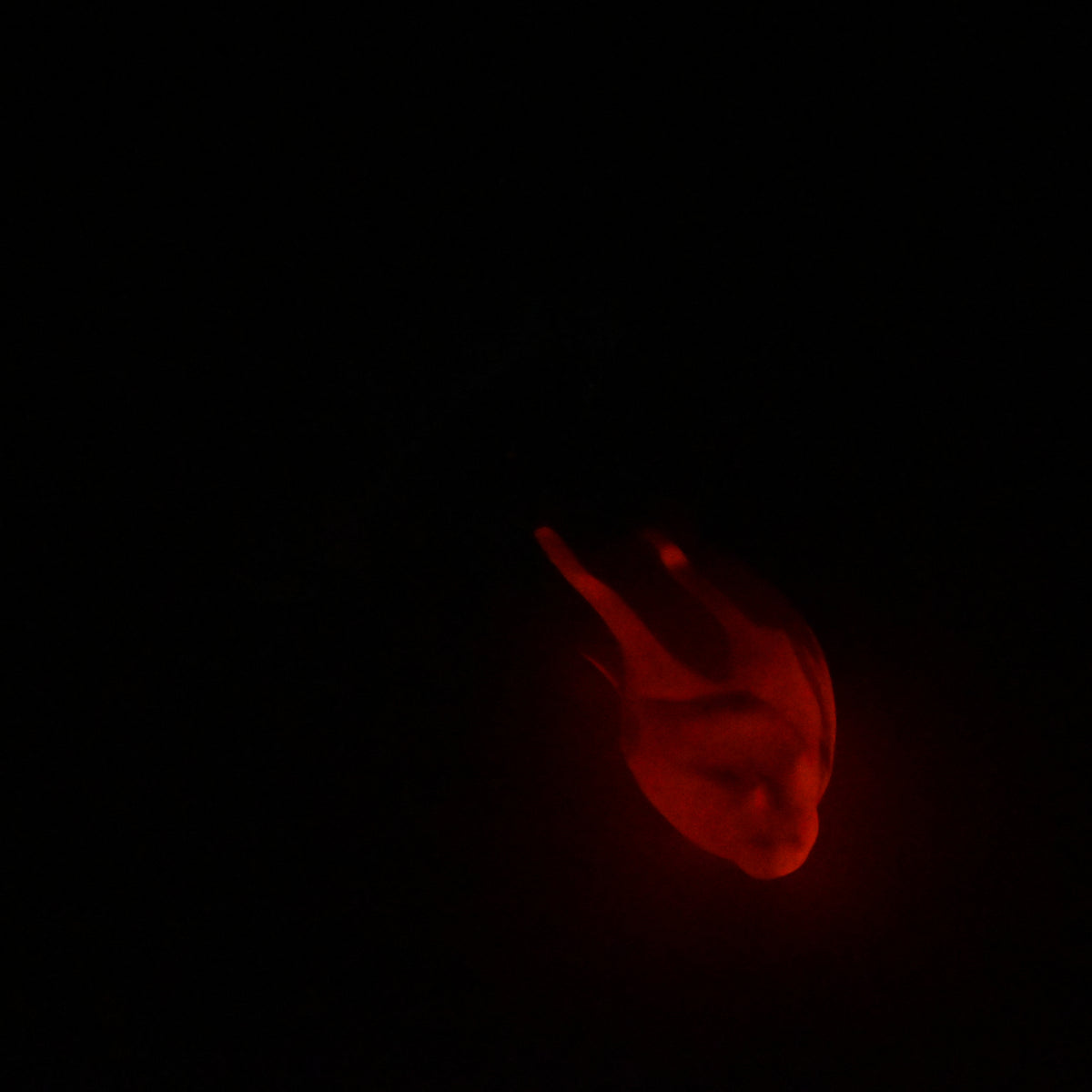 O2SKP52 Oberon Small 0030 UV GITD CS