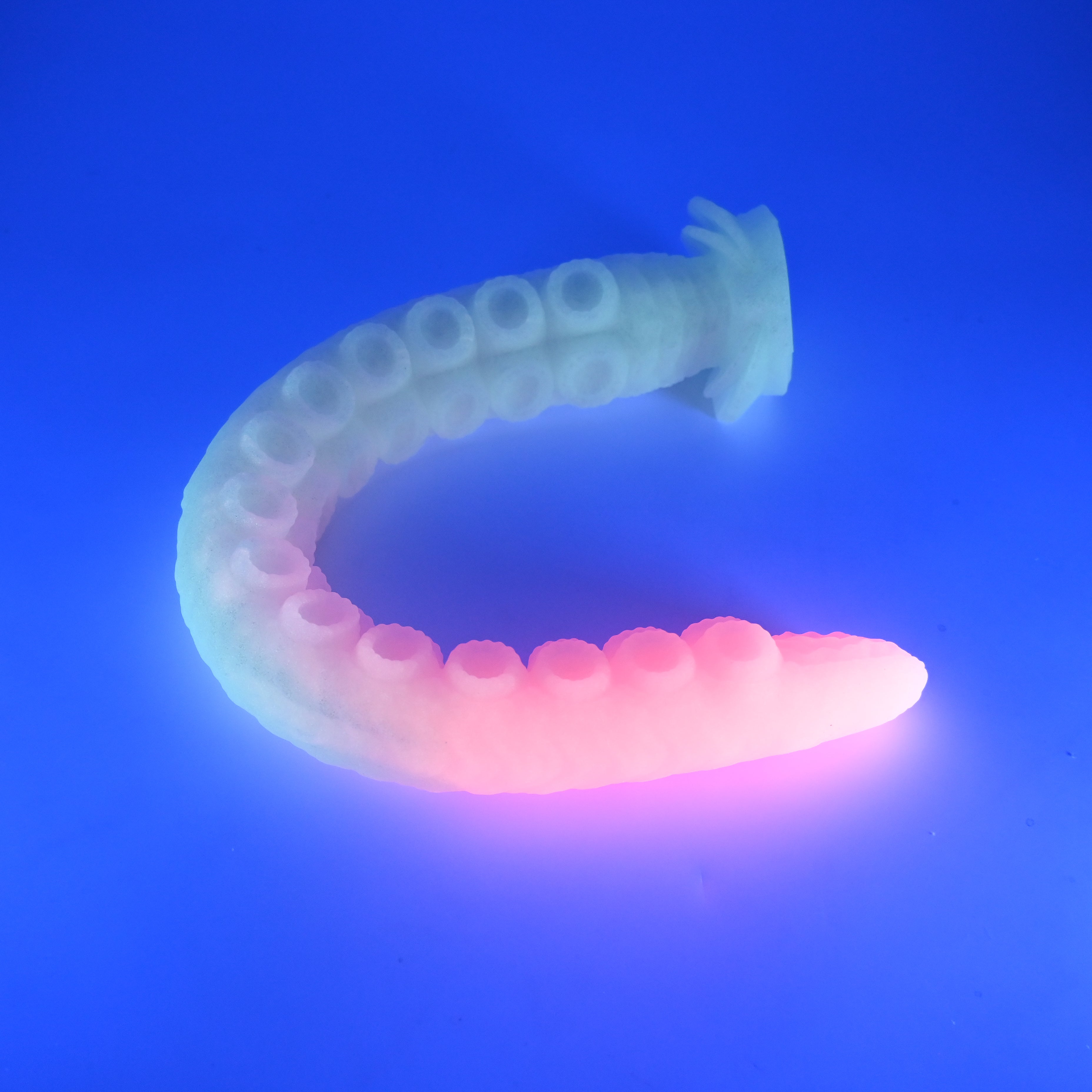 E4SJN44 Illex Large 0030 UV GITD