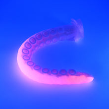 Load image into Gallery viewer, E4SHK55 Illex Large 0030 UV GITD
