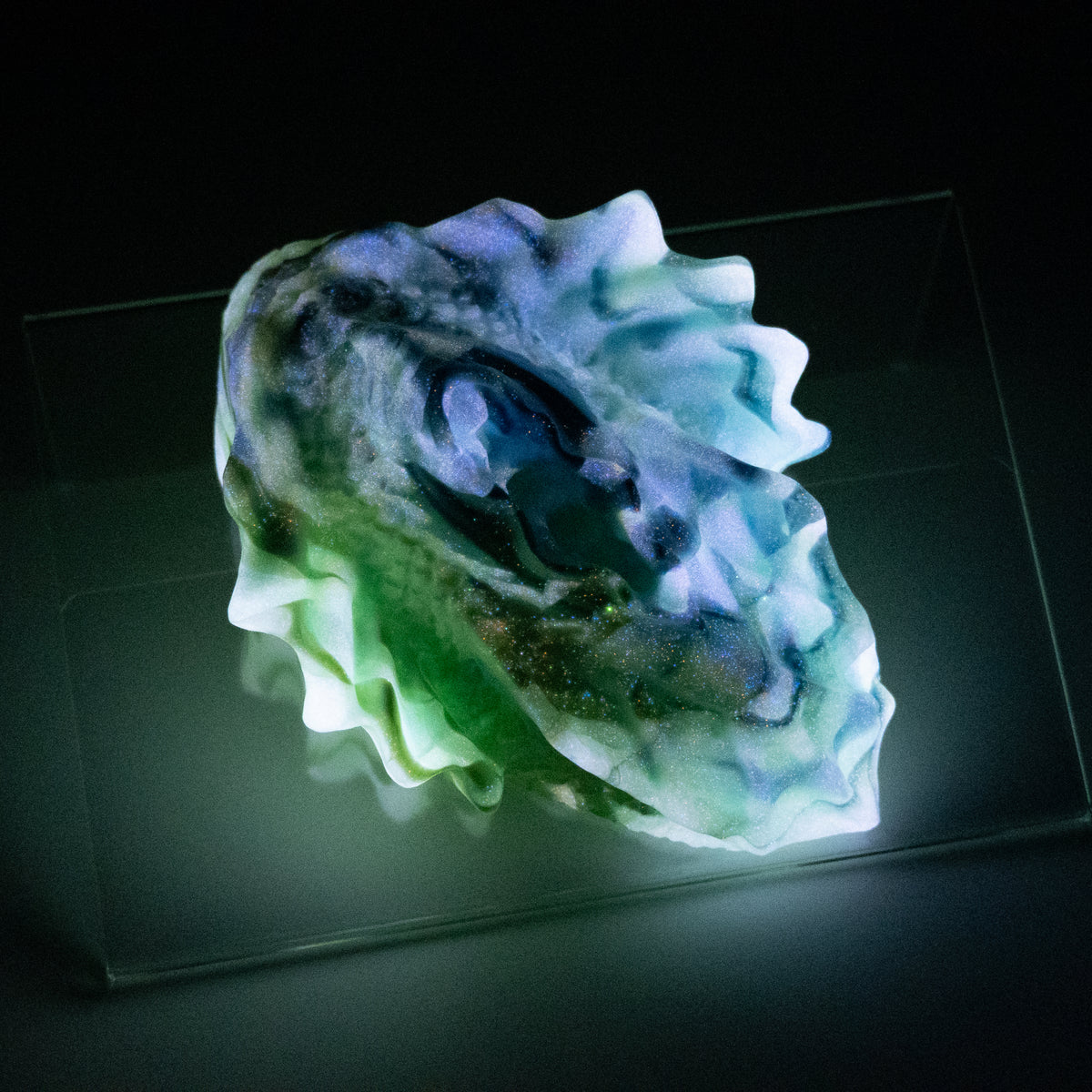 C2SJP76 Calypso Small 0030 UV GITD