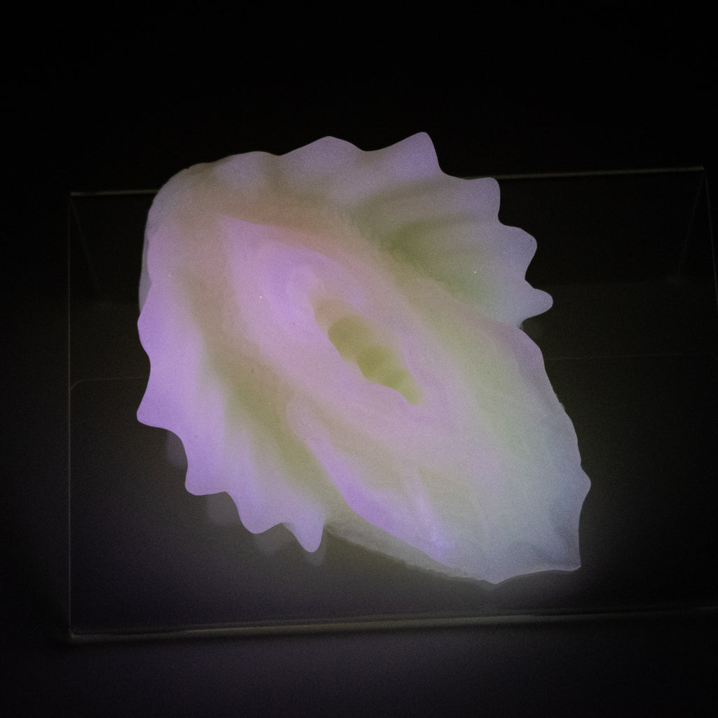 C2SJP77 Calypso Small 0030 UV GITD