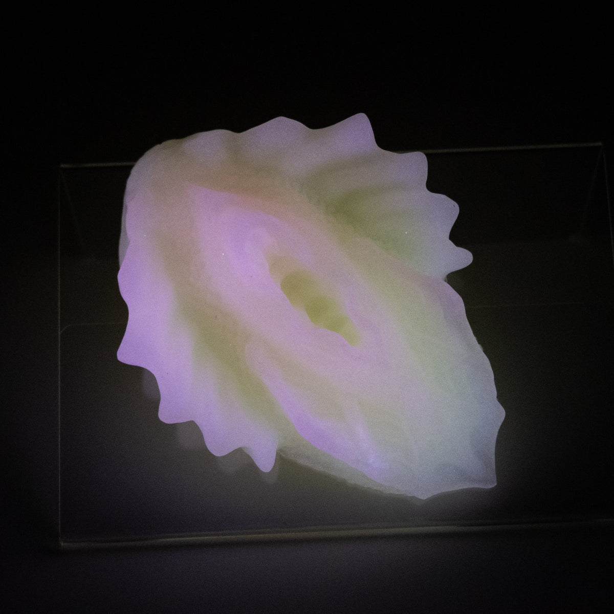 C2SJP77 Calypso Small 0030 UV GITD