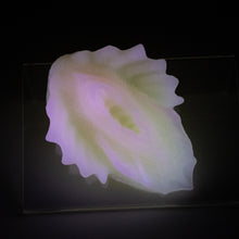 Load image into Gallery viewer, C2SJP77 Calypso Small 0030 UV GITD
