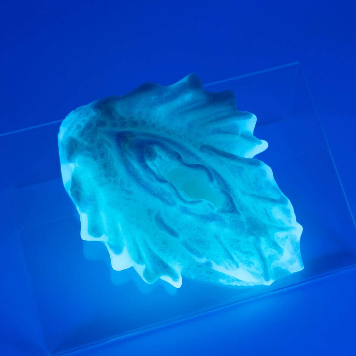C2SJP78 Calypso Small 0030 UV GITD CS