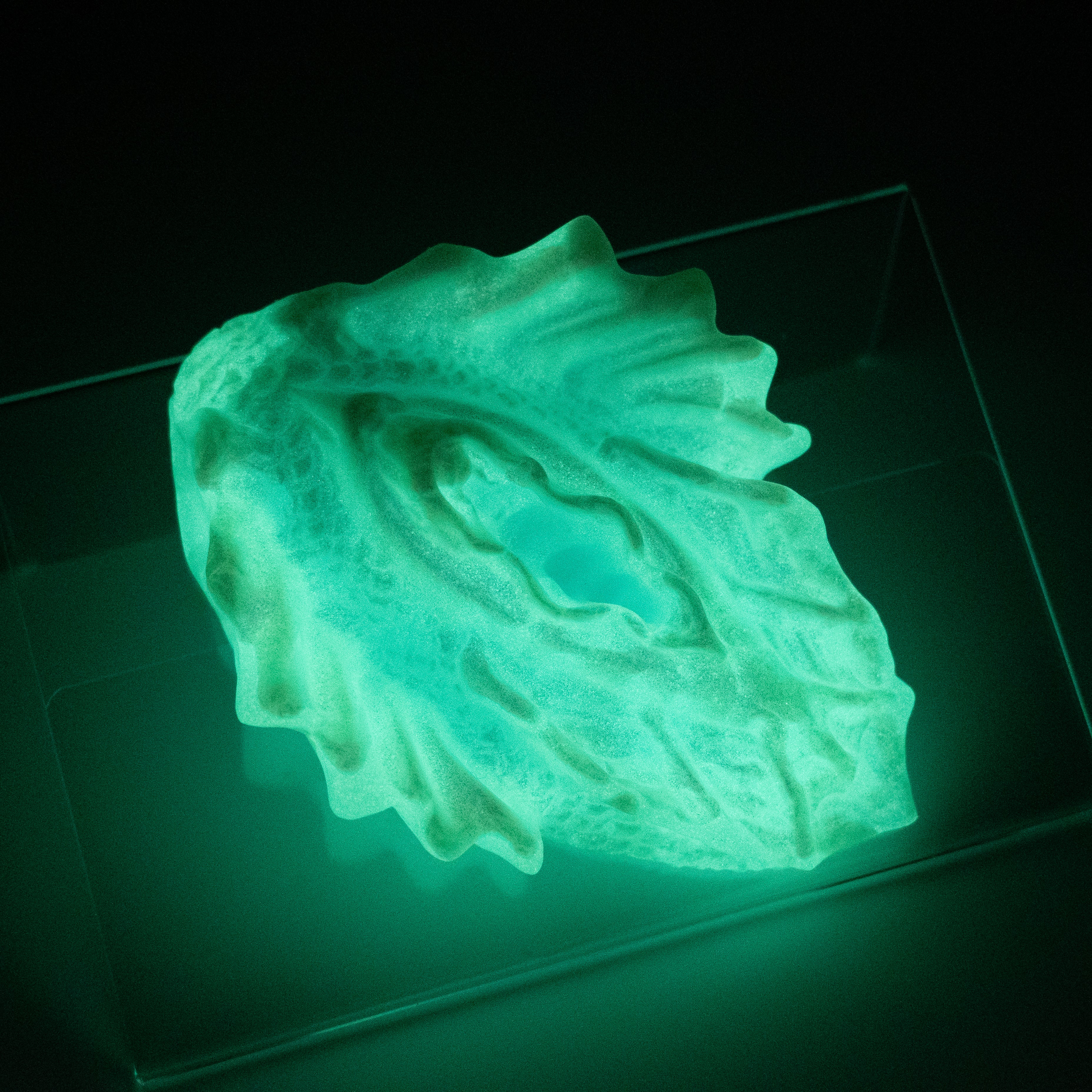 C2SJP78 Calypso Small 0030 UV GITD CS